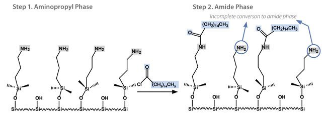 Early Generation Two-step Bonding Process for EPG Amide Phases
