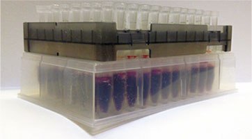 BioSPME Extraction Setup, Tips Shown Inserted into Blood Sample BioSPME Extraction Setup, Tips Shown Inserted into Blood Sample