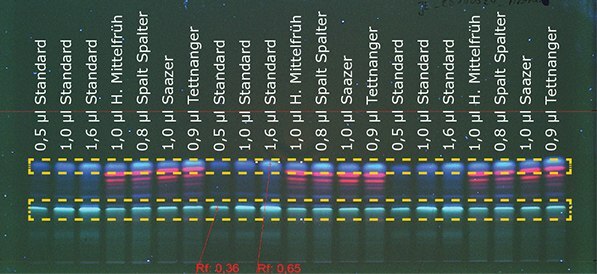 Figure 1a: Detection of aromatic hop at 366 nm