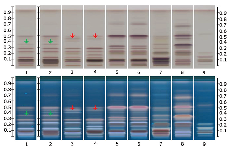 hptlc-chromatograms-under-uv-366-nm-method hptlc-chromatograms-under-uv-366-nm-method
