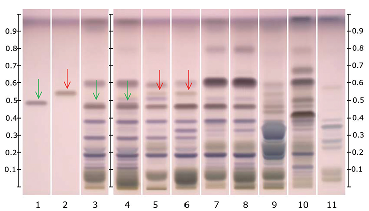 hptlc-chromatograms-under-white-light hptlc-chromatograms-under-white-light