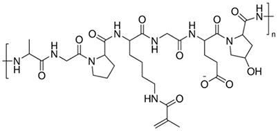 Gelatin Methacryloyl Gelatin Methacryloyl