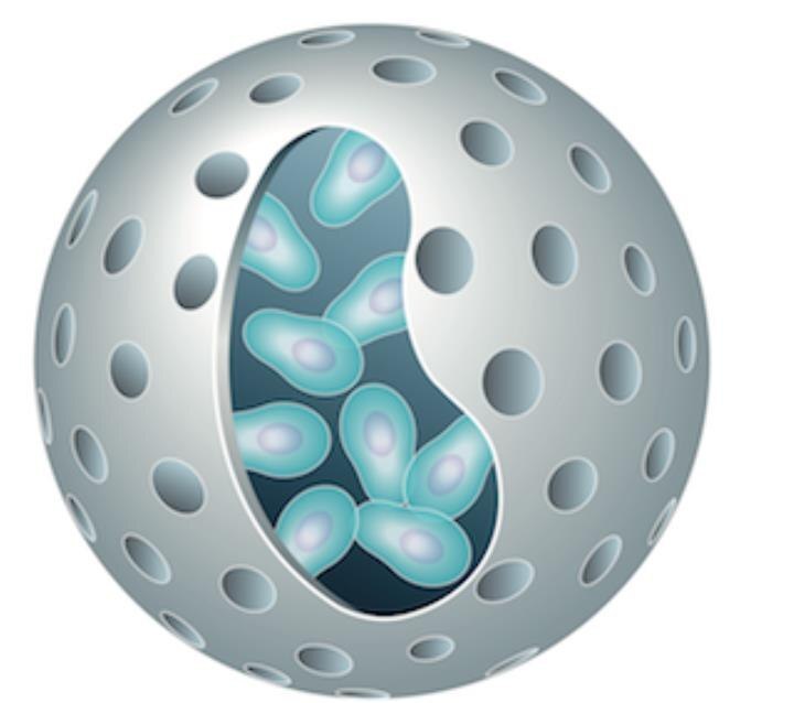 What is Cell-in-a-Box® Technology What is Cell-in-a-Box® Technology