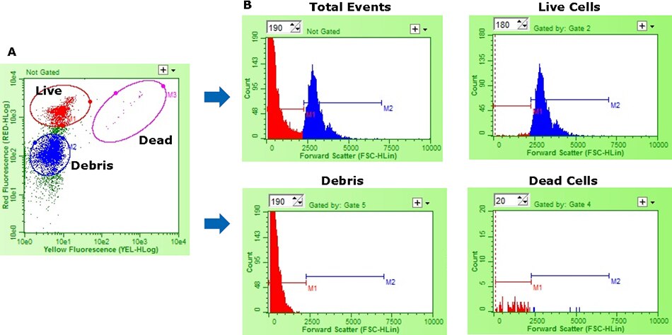 Representative flow cytometry data demonstrating size-based discrimination of live cells from dead and debris