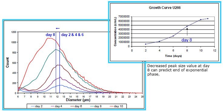 u266-suspension-cell-line-human-myeloma-cells