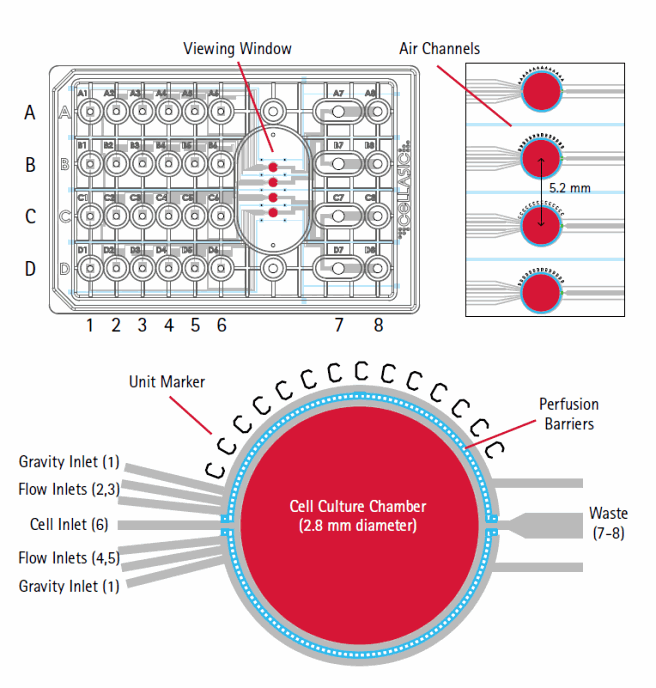 Demonstration of long-term culture and in-plate staining protocols using the CellASIC® ONIX Microfluidic platform he M04S plate contains four independent flow units (A-D), each with four upstream solution inlets