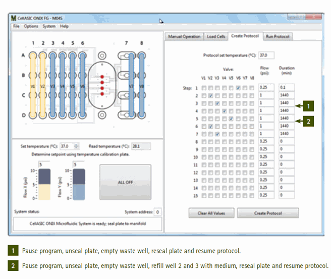 Demonstration of long-term culture and in-plate staining protocols using the CellASIC® ONIX Microfluidic platform Software interface for creating automated protocol for pressuredriven cell loading followed by long-term perfusion culture