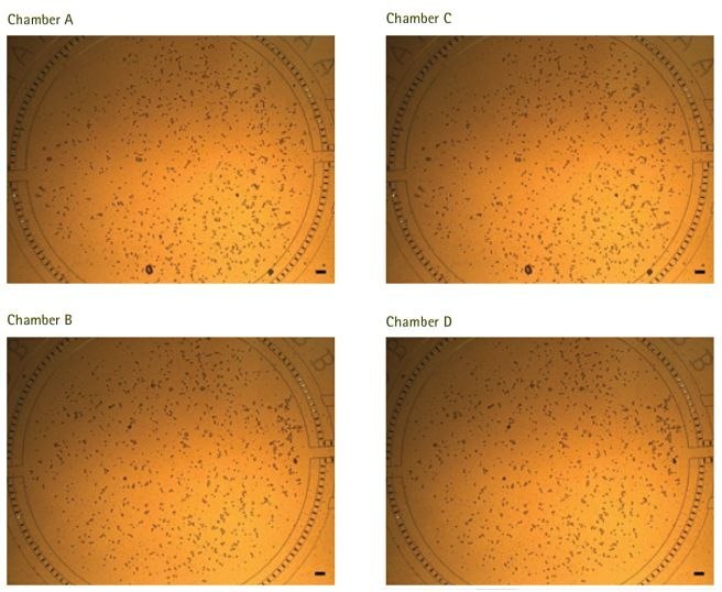 Demonstration of long-term culture and in-plate staining protocols using the CellASIC® ONIX Microfluidic platform Equal, even pressuredriven cell loading