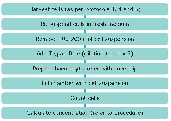 Cell Culture Protocol 6: Cell Counting Using a Hemocytometer