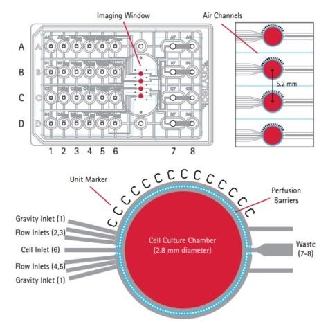 Microfluidic plate for mammalian cell culture