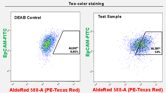 AldeRed™ allows for the co-labeling of CSC populations with FITC-conjugated antibodies. Co-staining of SK-BR-3 cells with AldeRed™ 588-A and Milli-Mark™ EpCam-FITC antibody (clone mAB8 Cat. No. FCMAB264F) yields 54% ALDHhiEpCAMhi. AldeRed™ allows for the co-labeling of CSC populations with FITC-conjugated antibodies