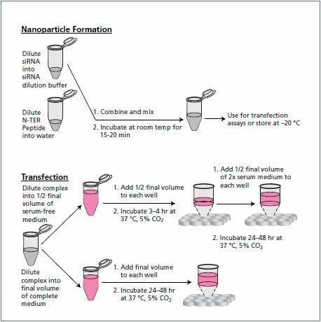 Nanoparticle formation