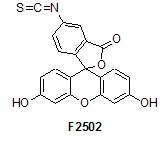 labeling and staining reagents labeling and staining reagents