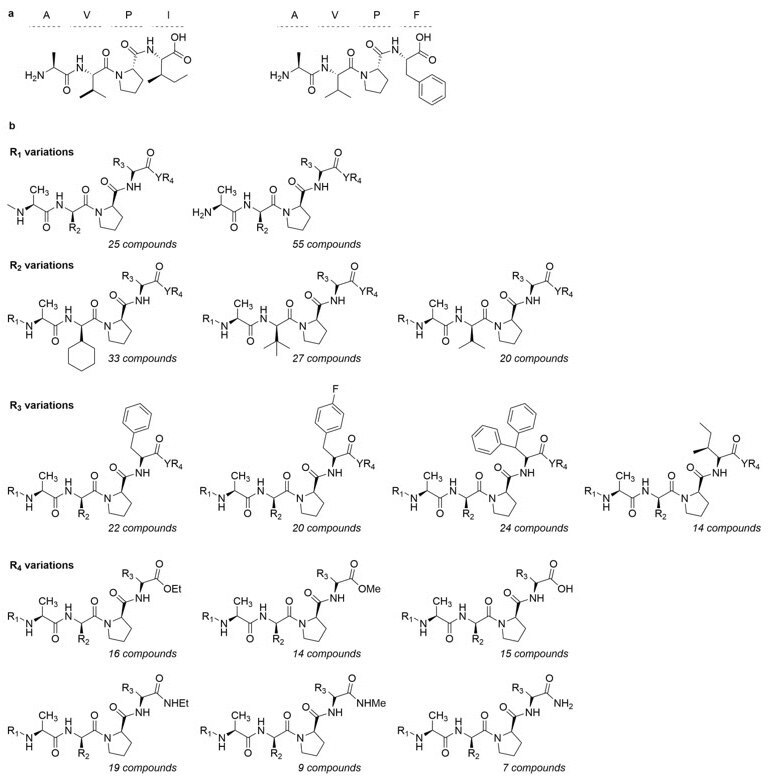 Structures of AVPI and AVPF Structure of AVPI and AVPF