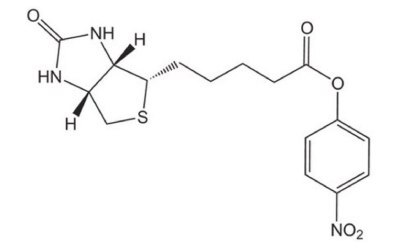 Biotin-ONp