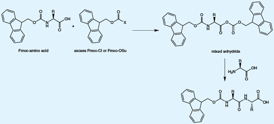 The impurities present in Fmoc-amino acids are predictable and mainly arise The impurities present in Fmoc-amino acids are predictable and mainly arise