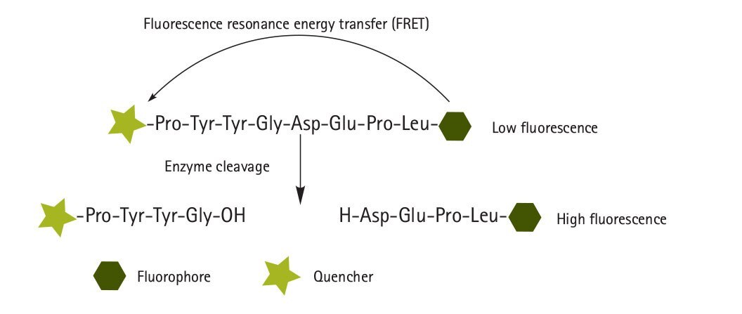 flourescence-quenched flourescence-quenched