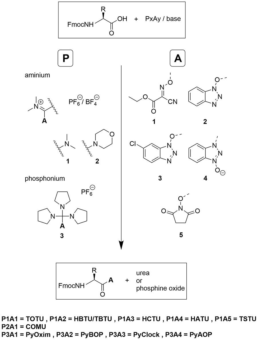 Active esters generated with most commonly used coupling reagents. Coupling selection Guide