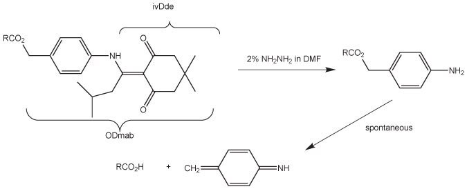 removal-of-dmab removal-of-dmab