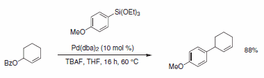 v6-Scheme 24.