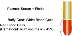 Blood-Composition Blood Composition