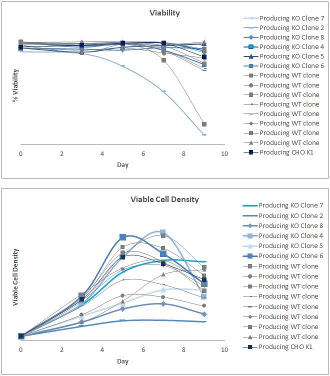 Viability and viable cell density of both SLC35A1 knockout and wildtype clones were measured over the course of a 9 day assay. A range of viable cell densities across wildtype and knockout clones indicate that this genetic modification did not impact this parameter.