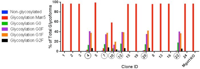 Single Cell Clones Single Cell Clones