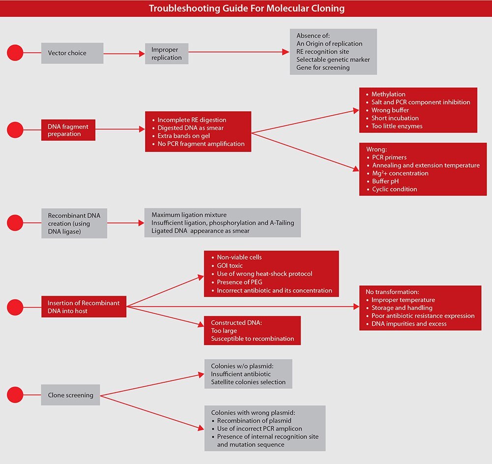 Troubleshooting Guide for Molecular Cloning