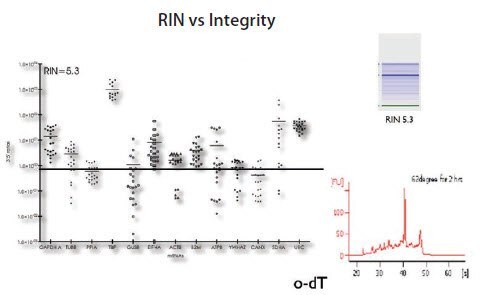 RNA samples from HT29 cells with RIN approximately 5