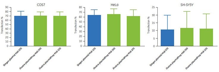 Transfection efficiencies of plasmid DNA