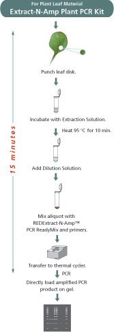 Extract-N-Amp Plant Flow Chart Extract-N-Amp Plant Flow Chart