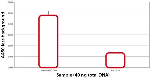 <b>Effect of Azacytadine on CHO Cell Global Methylation. </b>Azacytadine, a known demethylating agent, was added directly to culture medium. Cells were harvested after 48 hours. DNA was isolated using GenElute™ and global methylation was measured. 40 ng of DNA from treated and non-treated CHO cells was analyzed. Effect of Azacytadine on CHO Cell Global Methylation