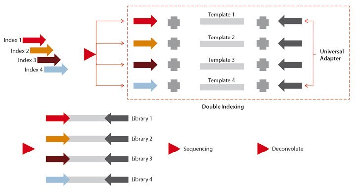 experimental-scheme experimental-scheme