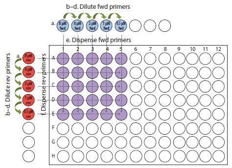 Primer optimization example