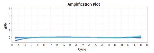 Primers to EIFB1 were tested at concentrations between 200 nM and 900 nM
