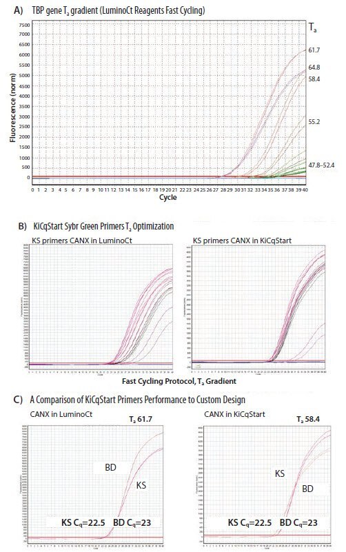 Primer optimization using Ta.