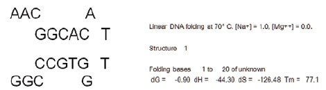 The sequence for the probe that was included in the assay was entered into mfold folding prediction software
