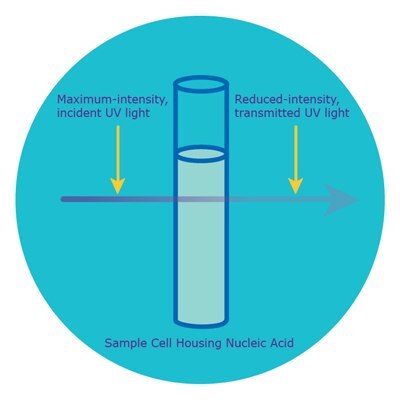 spectrophotometer spectrophotometer
