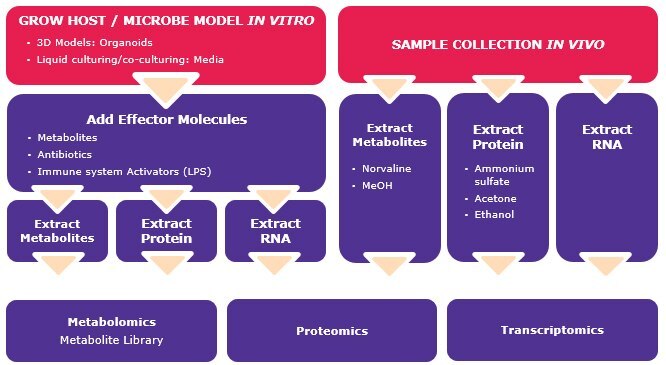Microbiome function analysis workflows and reagents