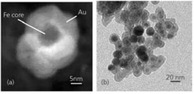 Au被覆Feナノ粒子のSEM/TEM画像