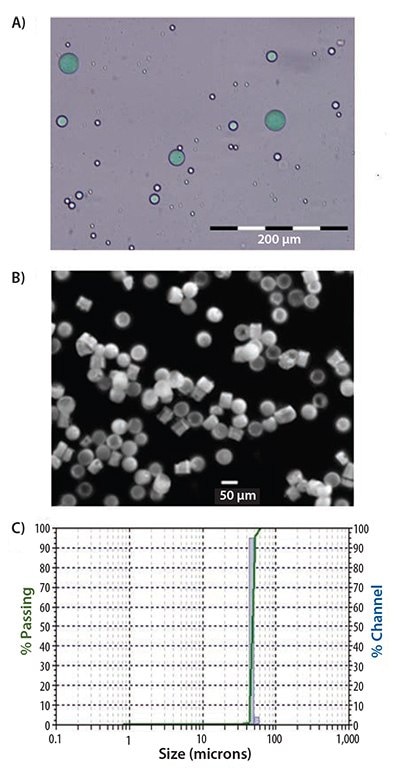 Schematic illustrations