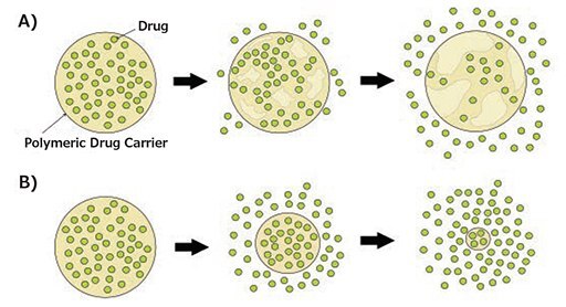 Degradation mechanisms of biodegradable polymeric drug carriers Degradation mechanisms of biodegradable polymeric drug carriers
