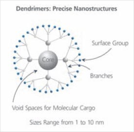 Schematic representation of a G2 dendrimer with 3-fold branching. PAMAM dendrimers have 2-fold branching, resulting in 2x increase in number of surface groups with each generation, G. Schematic representation of a G2 dendrimer with 3-fold branching. PAMAM dendrimers have 2-fold branching, resulting in 2x increase in number of surface groups with each generation, G.