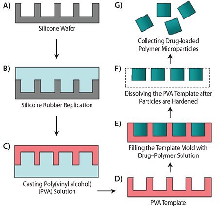 Schematic illustrations