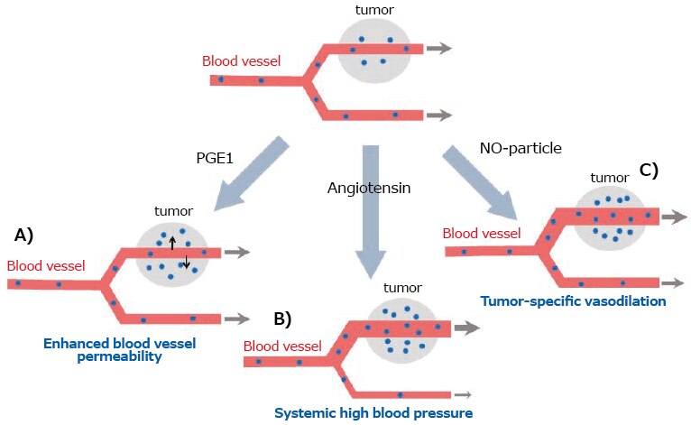 Strategies of enhancement in EPR Effect Strategies of Enhancement in EPR Effect