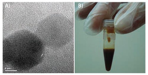 High resolution TEM image of iron oxide LTE MNPs
