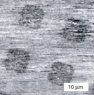 Lateral force microscopy (LFM) image of a patterned Au{111} substrate made by microdisplacement printing