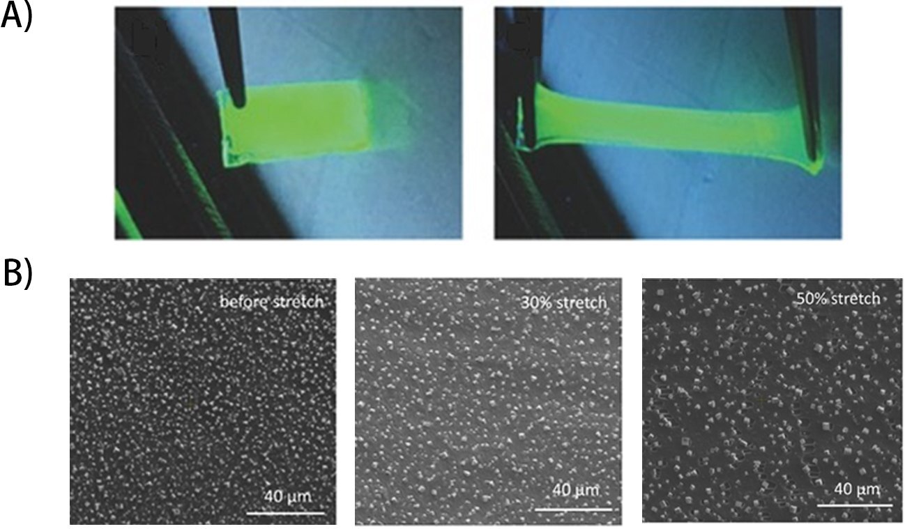 <b>A</b>)約100%の歪みまでの伸長前後の365 nmのUV照射下のMAPbBr<sub>3</sub>/PEO複合材料フィルムの写真。<b>B</b>)0、30%および50%の歪みまで伸長したMAPbBr<sub>3</sub>/PEO複合材料薄膜のSEM像。 MAPbBr3/PEO複合膜の伸長の様子とSEM像
