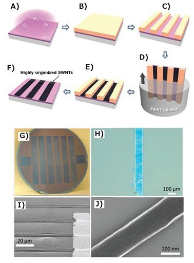 Schematic of template-assisted fluidic SWCNT assembly and SEM image of SWCNT networks Schematic of template-assisted fluidic SWCNT assembly and SEM image of SWCNT networks