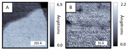 Scanning tunneling microscopy image of a 24 h 1-adamantanethiolate (1-AD) SAM on a Au{111} substrate